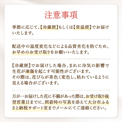 【毎月お届け定期便】季節の花束 旬のお花をお届けします ≪12回お届け≫_T10054 