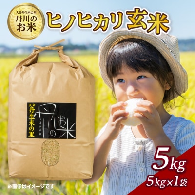 丹生米の里丹川のお米 ヒノヒカリ玄米 5kg_B02007