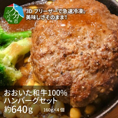 【お歳暮】おおいた和牛100%ハンバーグセット　4個約640g_A05051-O