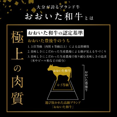【お歳暮】大分豊後牛ハンバーグ・ミートデリカセット　約1,080g_A05052-O