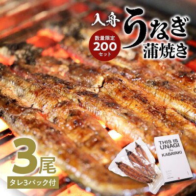 【お歳暮】入舟 うなぎ 蒲焼き〈12月13日～20日内に発送〉_E07004-O