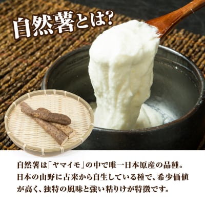 こだわり自然薯 A_F11010