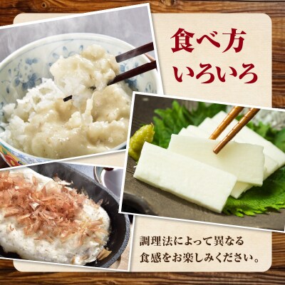 こだわり自然薯 A_F11010