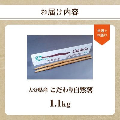 こだわり自然薯 A_F11010