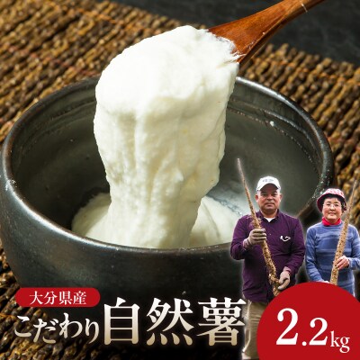 こだわり自然薯 B_F11011