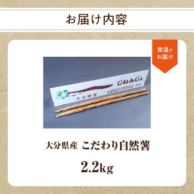 こだわり自然薯 B_F11011