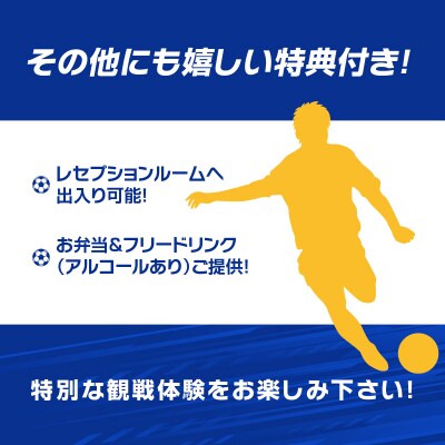 大分トリニータホームゲームロイヤルシート観戦体験(ペア)_P01078