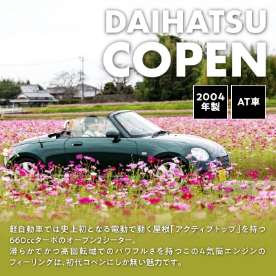 レンタカー24時間利用券 《ダイハツ コペン》で大分を走ろう!_P01083