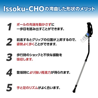 ウォーキングポール Issoku-CHO( 1足長) ブラックシルバー 1本_R17007