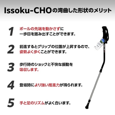 ウォーキングポール Issoku-CHO( 1足長) ブラックシルバー 1本_R17007