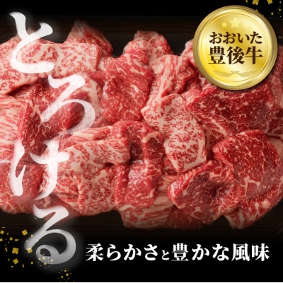 おおいた豊後牛 焼肉用 1kg_A01144