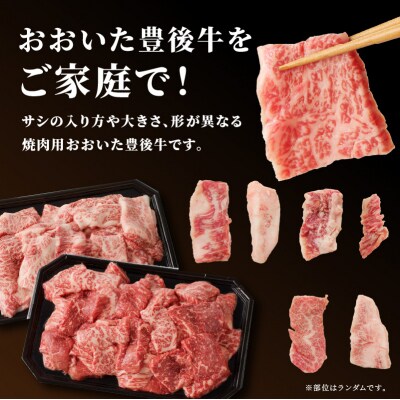 おおいた豊後牛 焼肉用 1kg_A01144