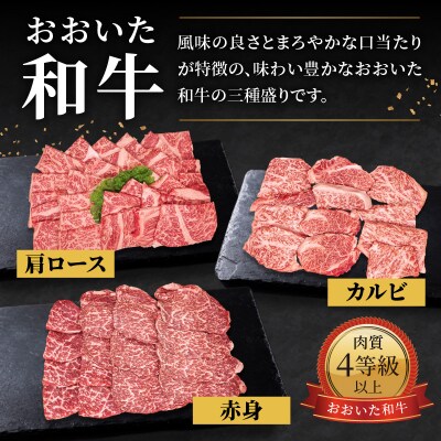 おおいた和牛 三種盛り 肩ロース・カルビ・赤身焼肉用 各500g 計1.5kg_A01143