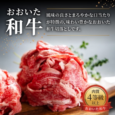【父の日ギフト】おおいた和牛 切落とし 1.2kg ≪6月15日お届け≫_A01142-C