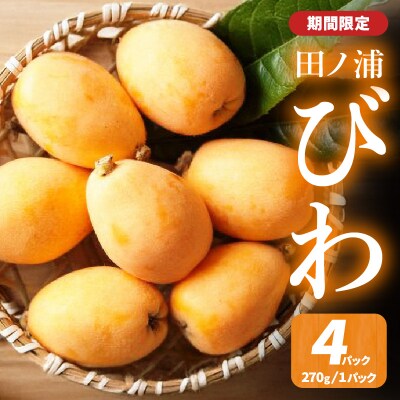 【期間限定】田ノ浦びわ 約1.08kg(270g×4パック)_C07014
