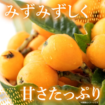 【期間限定】田ノ浦びわ 約1.08kg(270g×4パック)_C07014