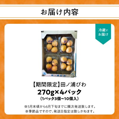 【期間限定】田ノ浦びわ 約1.08kg(270g×4パック)_C07014