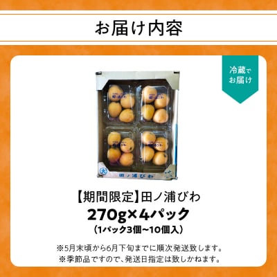 【期間限定】田ノ浦びわ 約1.08kg(270g×4パック)_C07014