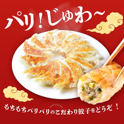 豚骨スープで焼く 餃子専門店の餃子 将軍餃子54個_A02032