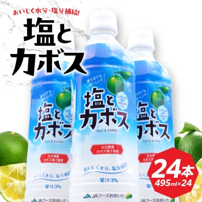 【お中元ギフト】塩とカボス 495ml×24本 《7/1～8/8の期間にお届け》_I02059-S
