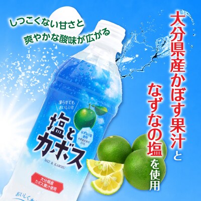 【お中元ギフト】塩とカボス 495ml×24本 《7/1～8/8の期間にお届け》_I02059-S