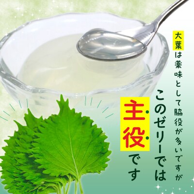【お中元ギフト】大葉ゼリー 9個入り《7/1～8/8の期間にお届け》_J05009-S