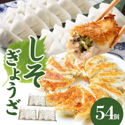 餃子専門店の餃子 しそ餃子 54個入り_A02036