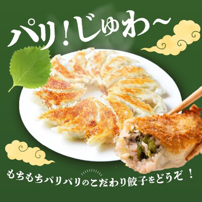 餃子専門店の餃子 しそ餃子 54個入り_A02036