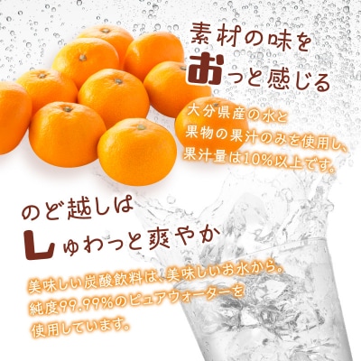 Create Clear Cider ミカン_I06005