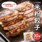 モチモチすぎるニラ子の米粉ぎょうざ 大分県産豚肉・にら100%使用 10個入り3パック_A02037