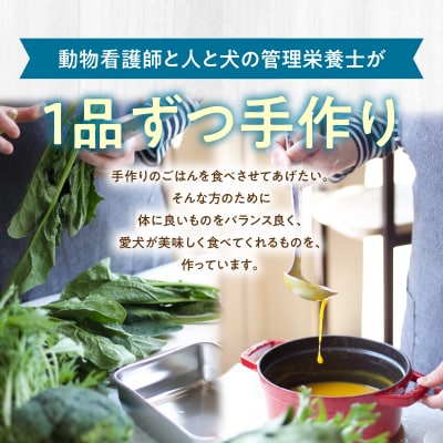ドッグフード 無添加 お魚3点セット【犬の手作りごはん】_R15011