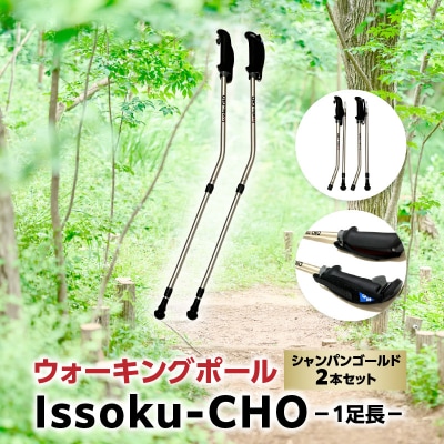 ウォーキング Issoku-CHO(1足長) シャンパンゴールド 2本セット_R17013