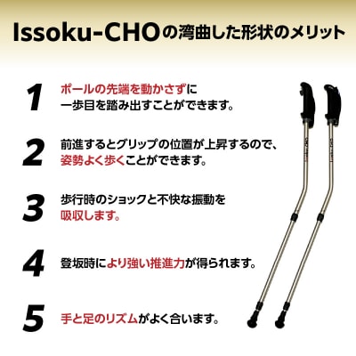 ウォーキング Issoku-CHO(1足長) シャンパンゴールド 2本セット_R17013