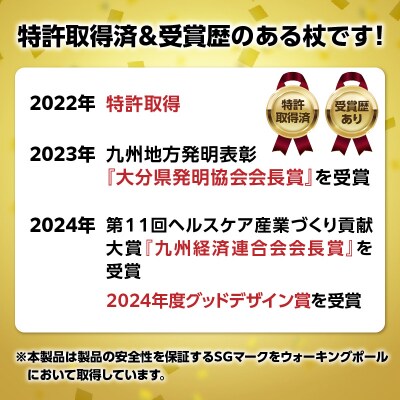 ウォーキング Issoku-CHO(1足長) シャンパンゴールド 2本セット_R17013