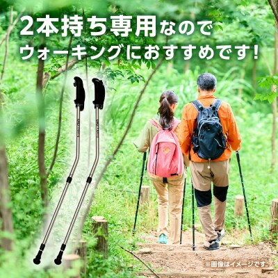 ウォーキング Issoku-CHO(1足長) シャンパンゴールド 2本セット_R17013
