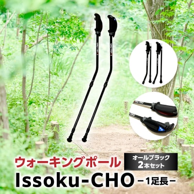 ウォーキング Issoku-CHO(1足長) オールブラック 2本セット_R17014