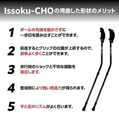 ウォーキング Issoku-CHO(1足長) オールブラック 2本セット_R17014