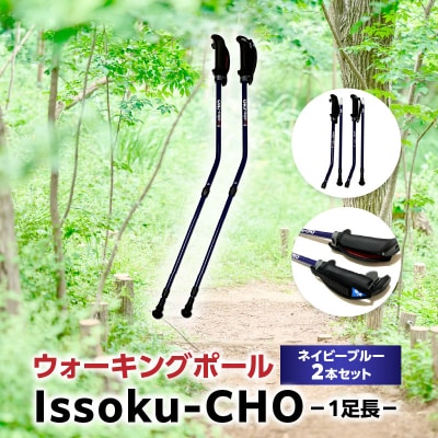 ウォーキング Issoku-CHO(1足長) ネイビーブルー 2本セット_R17015