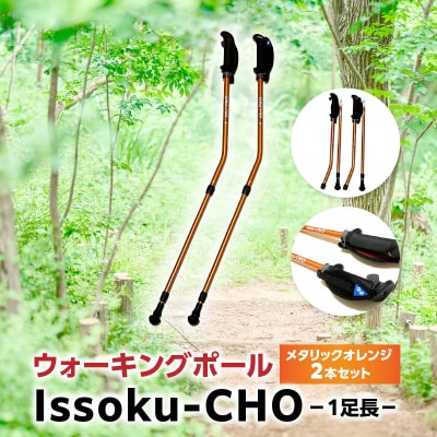 ウォーキング Issoku-CHO(1足長) メタリックオレンジ 2本セット_R17016