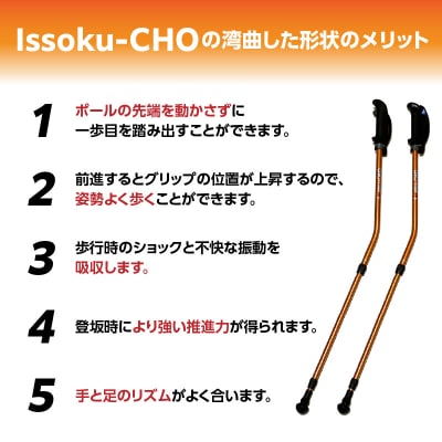 ウォーキング Issoku-CHO(1足長) メタリックオレンジ 2本セット_R17016