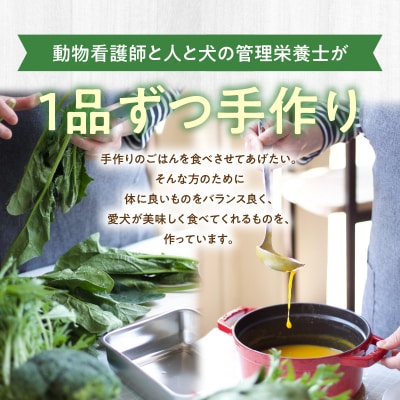 ドッグフード 無添加 水分補給4点セット【犬の手作りごはん】_R15013