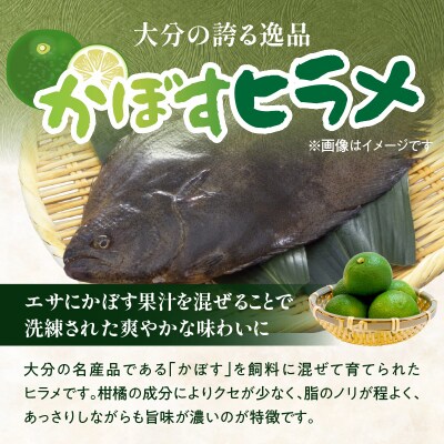 かぼすヒラメ うす引き・あら付き_E22032