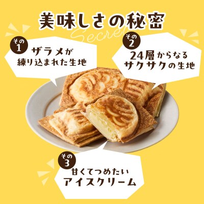 クロワッサン生地のクロボーノたい焼き(アイスセット)A_J01012