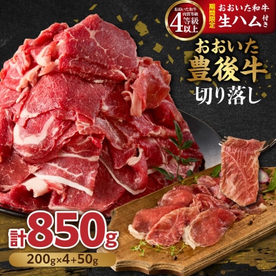 【期間限定】おおいた豊後牛切り落し 200g×4P+おおいた和牛生ハム 50g×1P_A01149