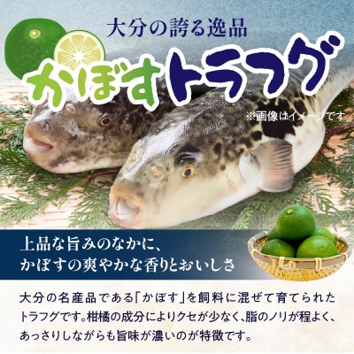 かぼすトラフグ うす引き・チリセット(33cm皿)【12月～2月までお届け】_E05027