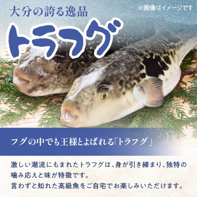 トラフグ うす引き・チリセット(33cm皿)【4月～10月までお届け】_E05029