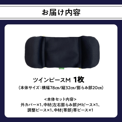 姿勢に合わせてベストな形状に可変!姿勢維持クッション ツイン ピース Mサイズ_R11009
