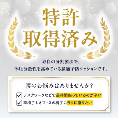 腰痛予防に!体圧分散 フォーケアクッション ProAir_R11011