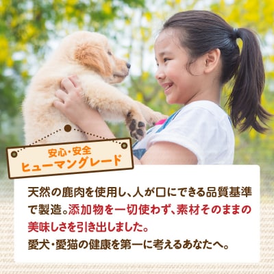 【ペットフード(犬・猫用)】 鹿肉ジャーキー 50g×2パック_R15015