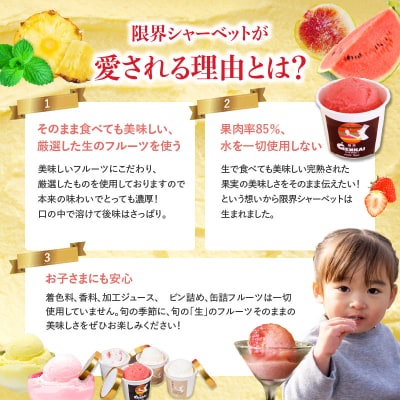 【お歳暮ギフト】限界シャーベット 6個セット〈12月13日～20日内にお届け〉_J06018-O